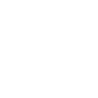 top logo