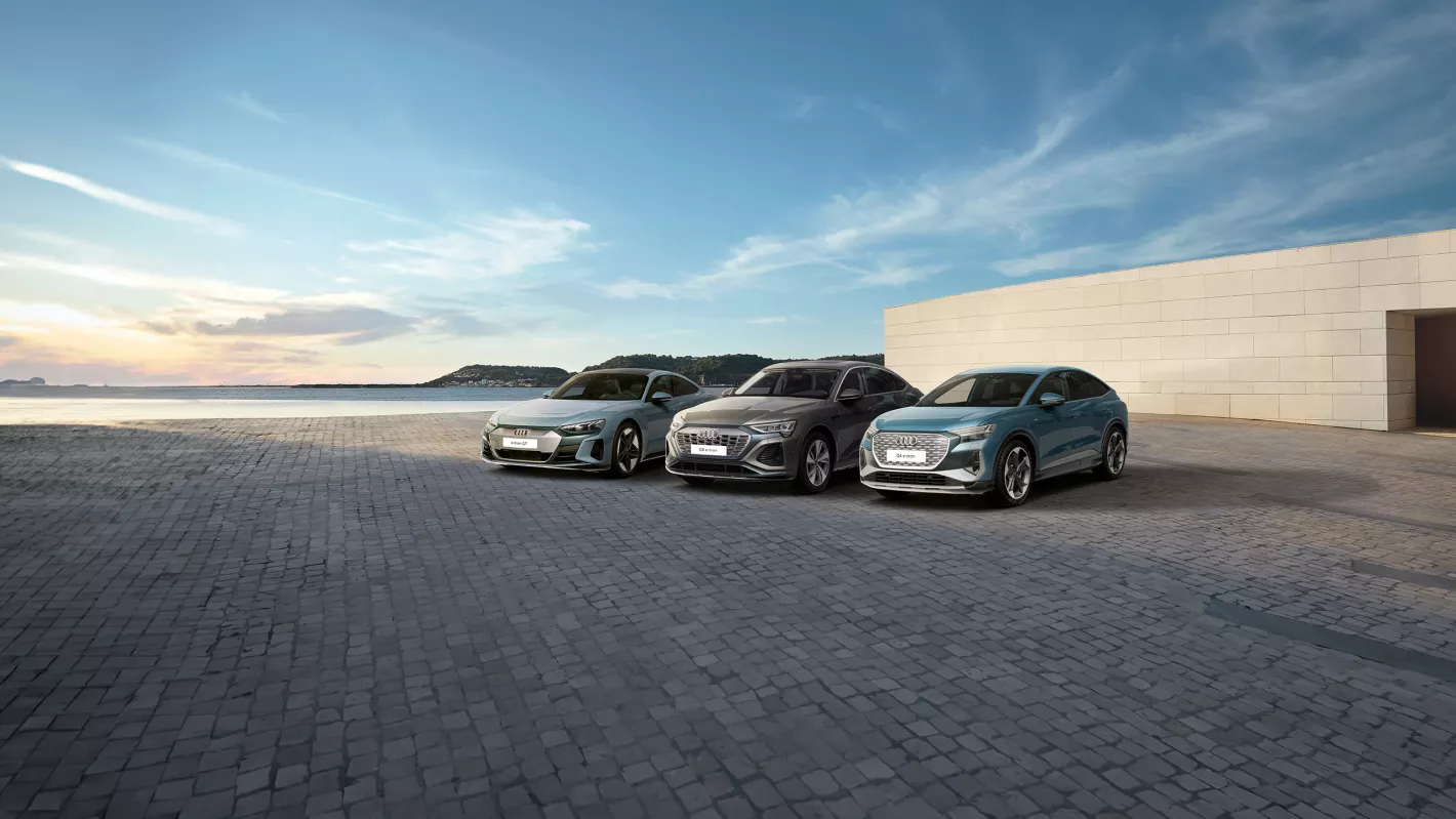audi electric days