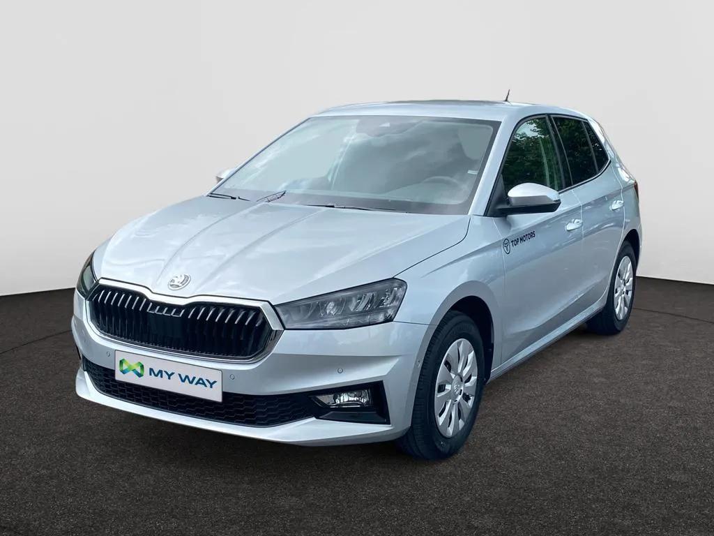 Skoda Fabia zilver